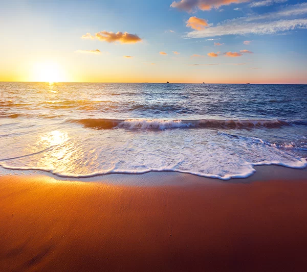 Separated they live in Bookmarksgrove