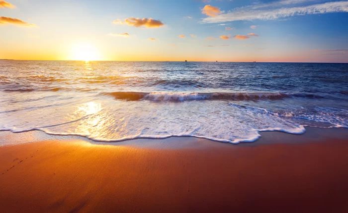 Separated they live in Bookmarksgrove