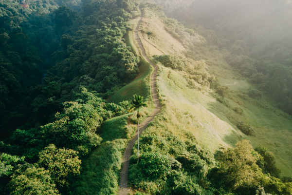 Campuhan Ridge Ubud