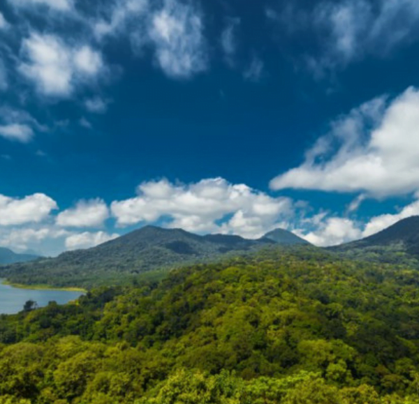 Buyan and Tamblingan lake