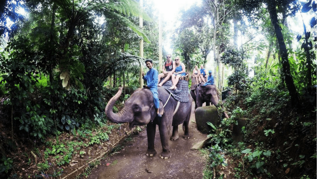 Elephant Park Ride Bali