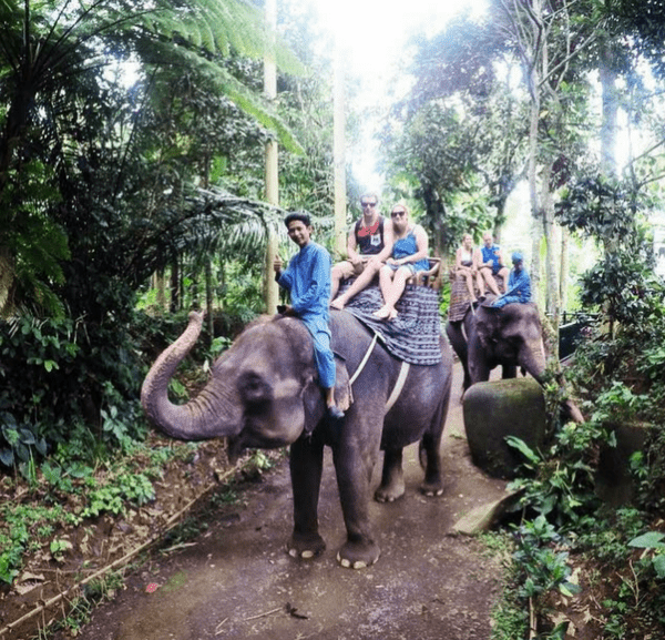 Elephant Park Ride Bali