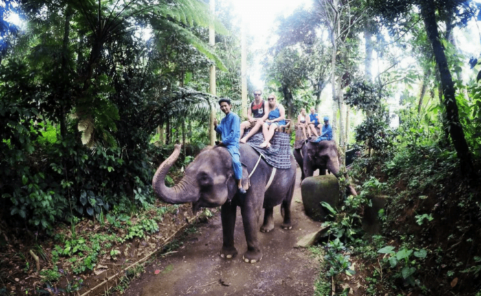 Elephant Park Ride Bali