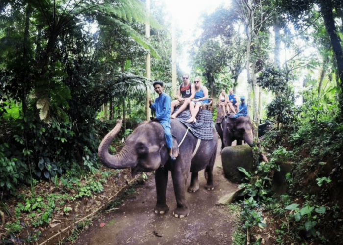 Elephant Park Ride Bali