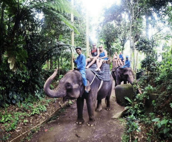 Elephant Park Ride Bali