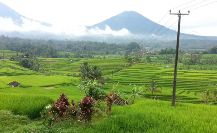 Bali Tour Package 3 Days 2 Nights