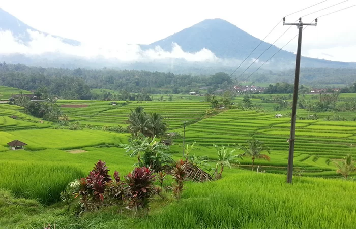 Bali Tour Package 3 Days 2 Nights