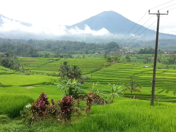 Bali World Heritage Site Tour