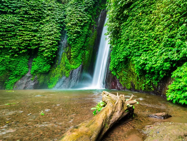 munduk environmental trekking