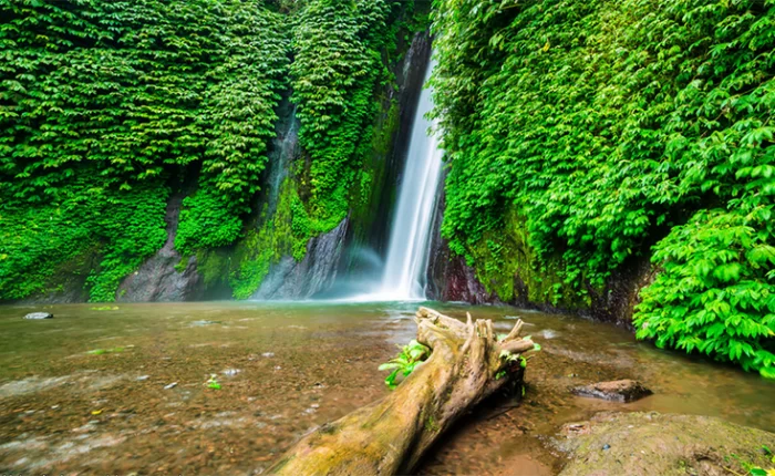 munduk environmental trekking