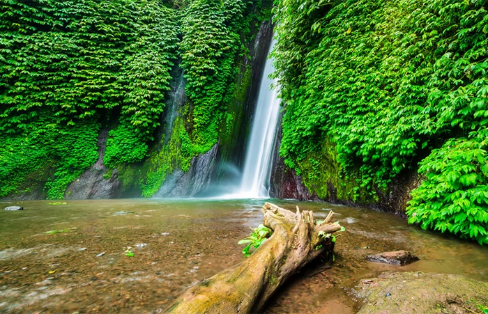 munduk environmental trekking