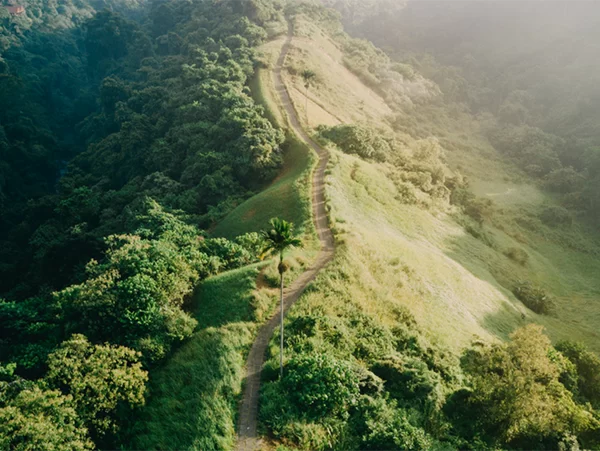 Ubud Eco Walk