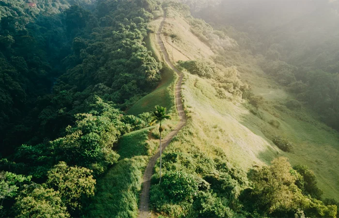 Ubud Eco Walk