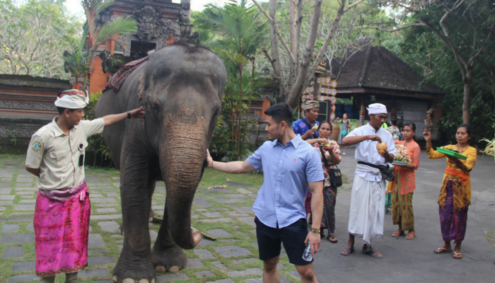 Elephant Park Bali
