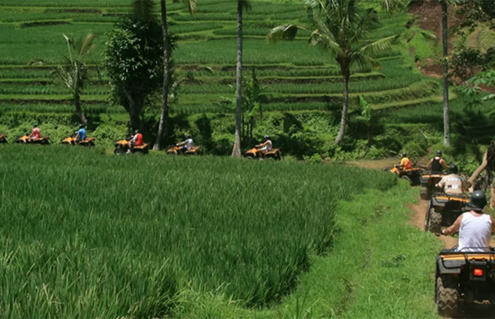 Bali ATV Ride and Tanah Lot Sunset Tour