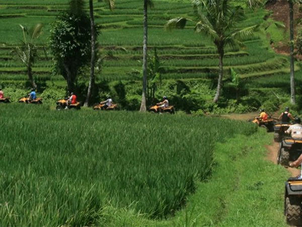 Bali ATV Ride and Ubud Scenic Tour