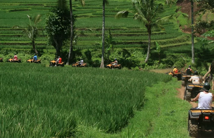 Bali ATV Ride and Ubud Scenic Tour