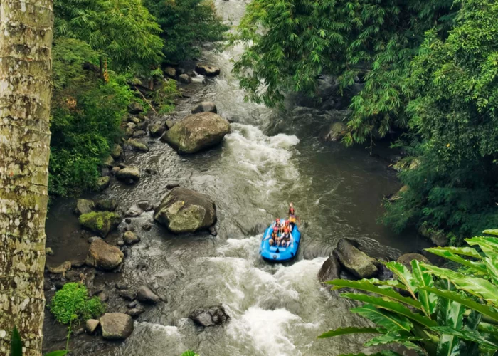 Bali River Rafting and Tanah Lot Sunset Tour