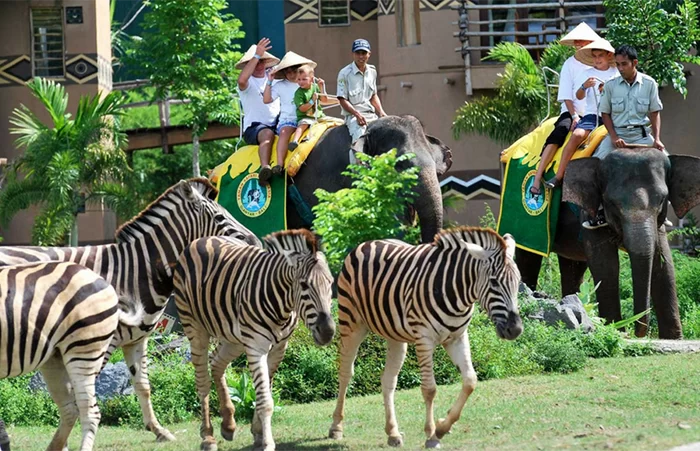 bali safari and marine park elephant ride